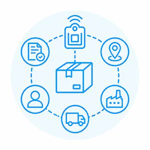 Document and Physical Verification